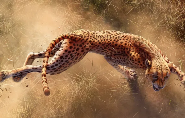Картинка Гепард, Когти, Africa s deadliest, Хищники Африки, Gepard