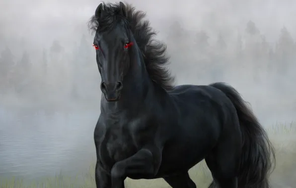 Глаза, конь, черный, лошадь