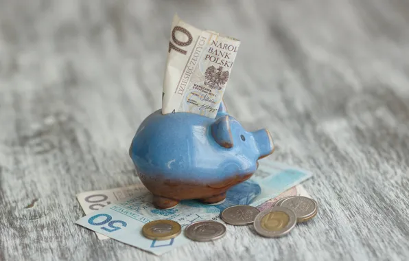 Money, coins, piggy