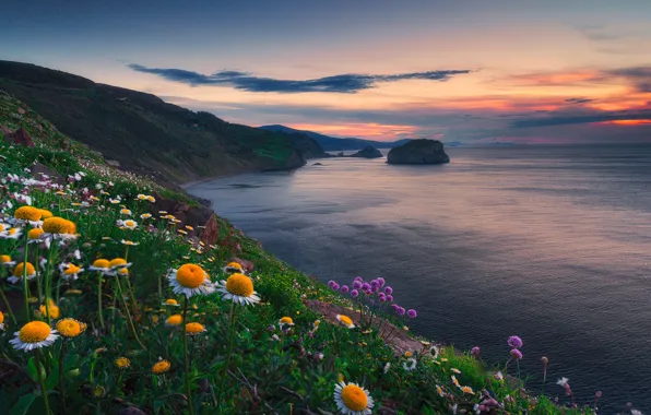 Картинка закат, цветы, океан, побережье, Испания, Spain, Бискайский залив, Bay of Biscay