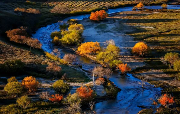 Картинка осень, деревья, река