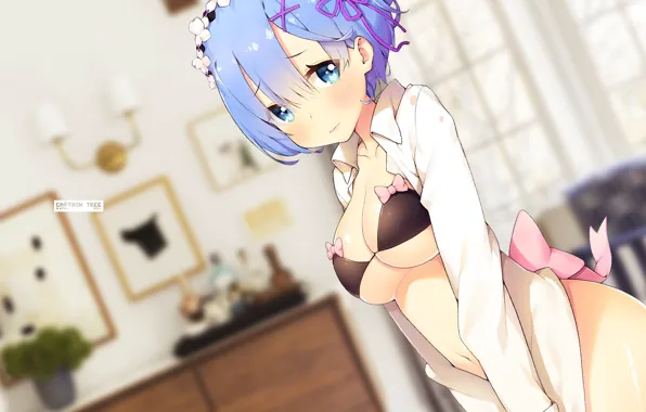 Девушка, интерьер, ретушь, Rem, Re: Zero kara Hajimeru Isekai Seikatsu, by Captain-Tree