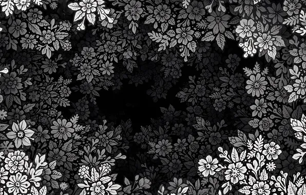 Картинка flowers, monochrome, Visothkakvei