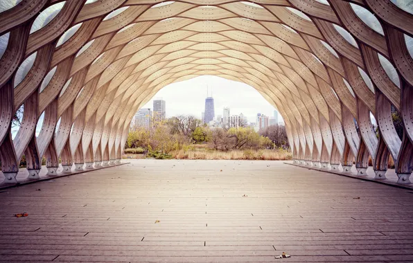 Деревья, город, туннель, Чикаго