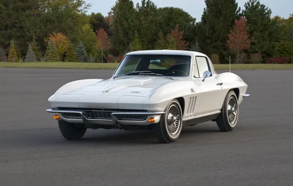 Картинка Corvette, Chevrolet, 1966