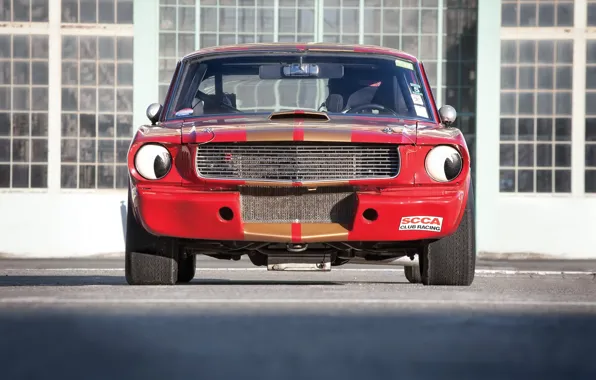 Mustang, Ford, Shelby, Форд, Мустанг, 1966, Шелби, GT 350H