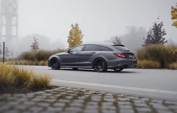 Mercedes, Grey, Rear, Pogea Racing, CLS63 S