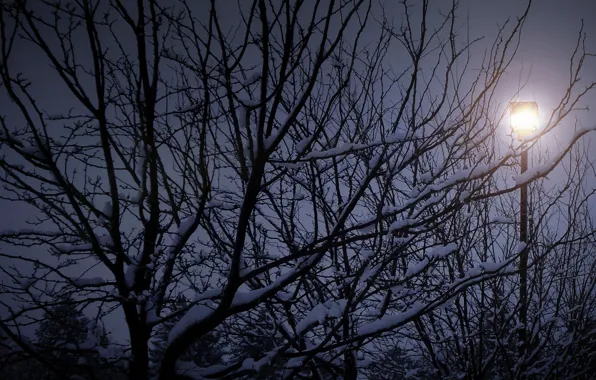 Картинка зима, снег, ночь, дерево, ветви, силуэт, Nature, night