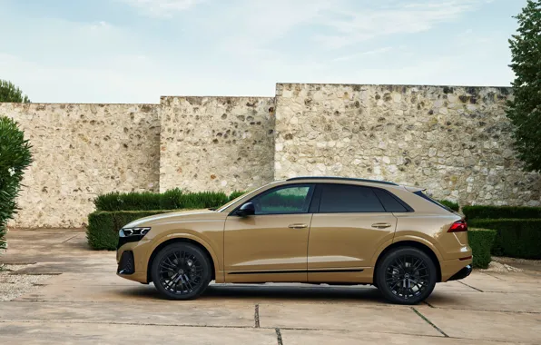 Картинка Audi, profile, Q8, Audi Q8 2024