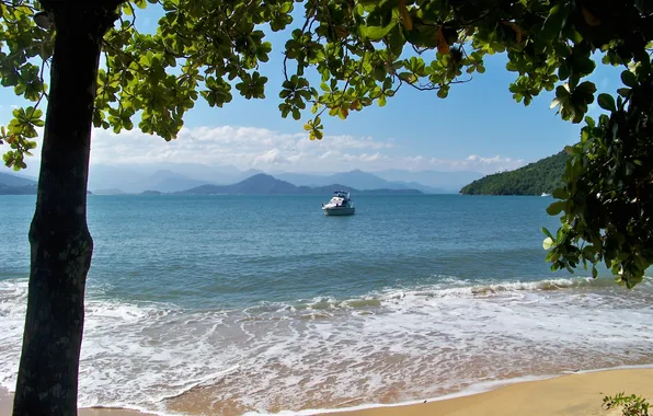 Brazil, Ubatuba, Anchieta Island, Beach-3