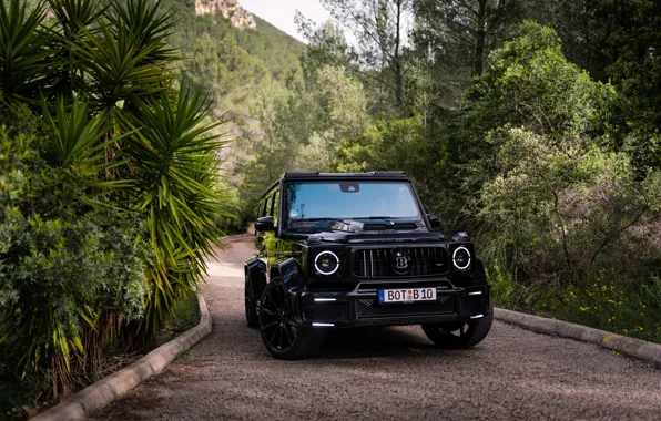 Mercedes, Brabus, Front, Black, Mountain, Mercedes - Benz, Forest, 2022