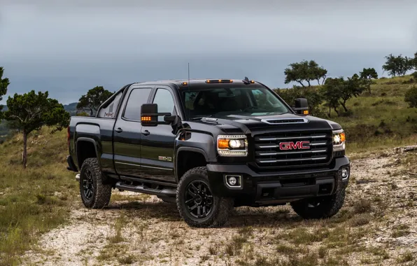 Пикап, GMC, Sierra, Terrain X