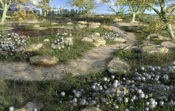 Природа, камни, растительность, тропа, Chemin