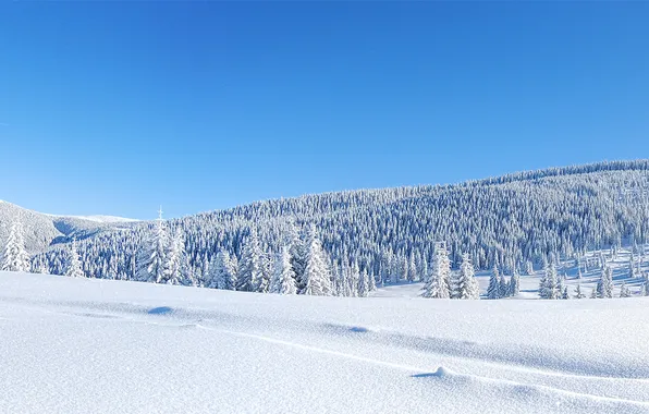 Зима, иней, поле, лес, снег, горы, холмы, в снегу