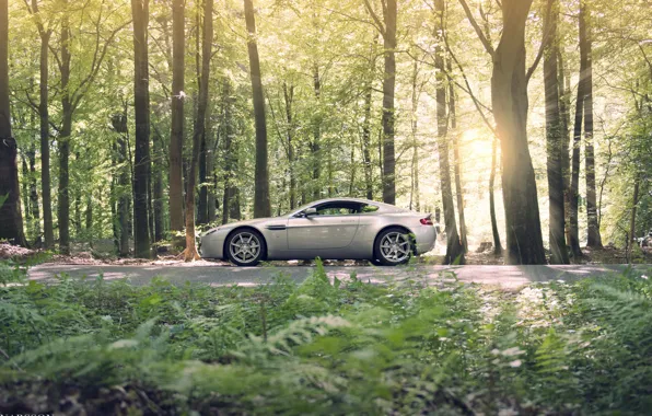 Картинка лес, серебристый, профиль, астон мартин, Aston martin, vantage