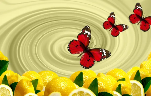Бабочки, обои, цитрус, лимоны