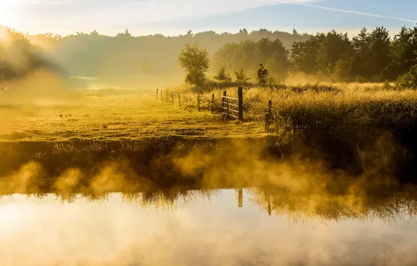 Туман, река, утро