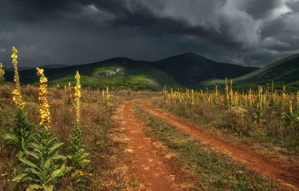 Картинка дорога, гроза, пейзаж, тучи, природа, холмы, Крым