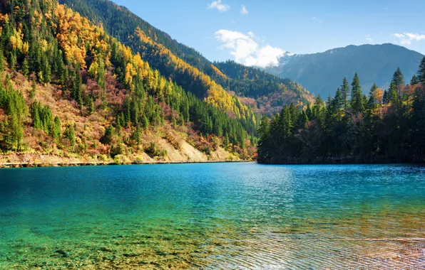 Осень, лес, деревья, горы, озеро, Китай, солнечно, заповедник