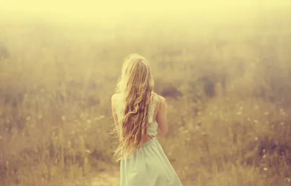 Картинка поле, трава, девушка, туман, спина, блондинка, длинноволосая