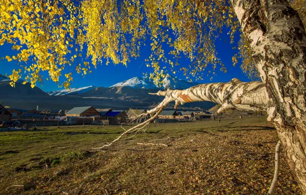 Картинка осень, деревья, горы, дома, деревня