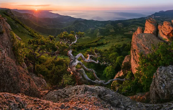 Закат, горы, скалы, луг, вид сверху