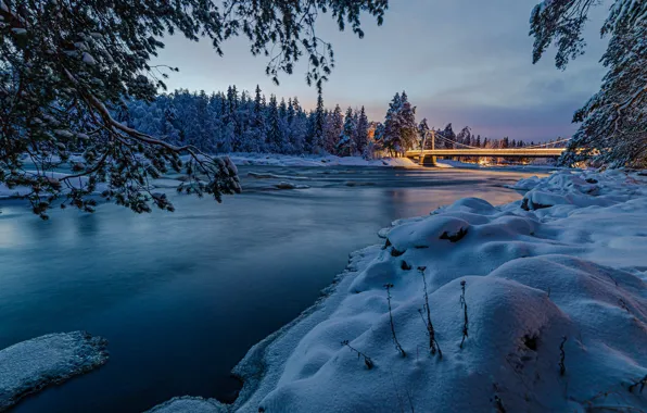 Lights, forest, river, bridge, night, winter