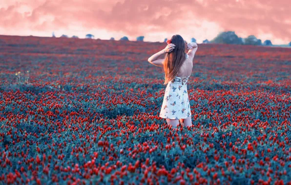 Картинка Girl, Red, Nature, Sky, Rose, Flowers, Color, Sunset