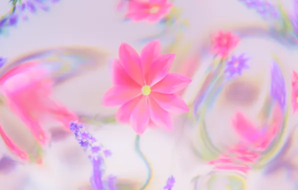 Abstract, flower, цветочный, абстрактный, Dreamy, Мечтательный