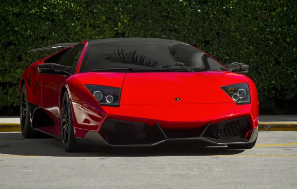 Red, lamborghini, murcielago