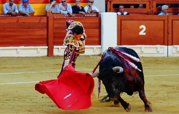 Картинка Spain, Bull, Matador
