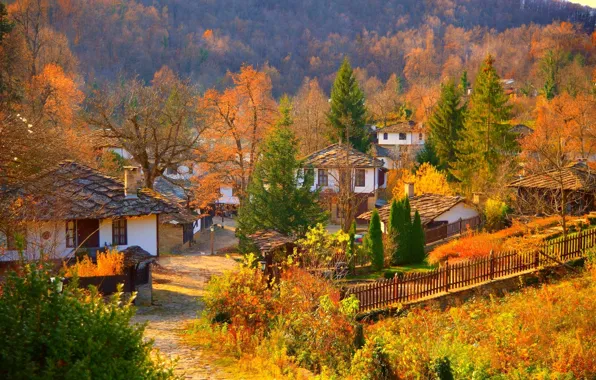 Дома, Природа, деревня, trees, landscape, nature, autumn, village