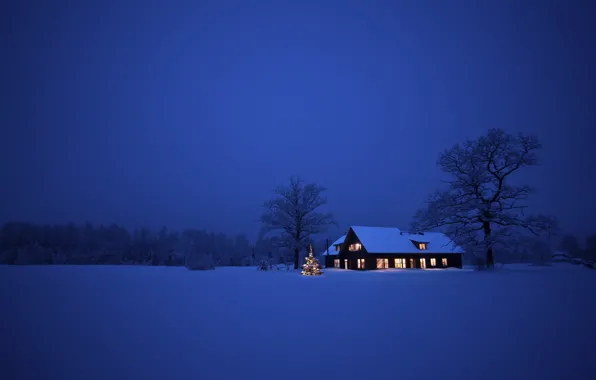 Картинка зима, снег, деревья, пейзаж, ночь, природа, дом, Рождество