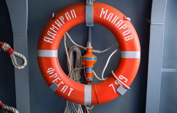 Корабль, средства, сторожевой, проект 11356, спасения