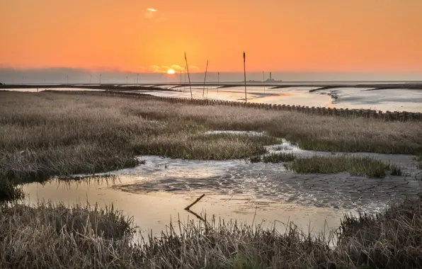 Картинка море, закат, берег