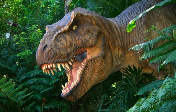 Dinosaur, T-Rex, Rex, Jurassic Park, prehistoric