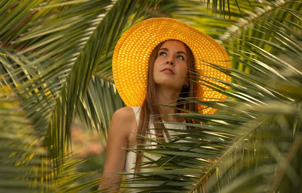 Взгляд, листья, девушка, пальма, шляпа, платье, шатенка, Ирина Харитонова