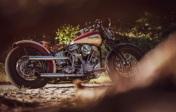 Картинка Custom, Motorcycle, Bobber, Thunderbike, By Thunderbike, Uncle Pan