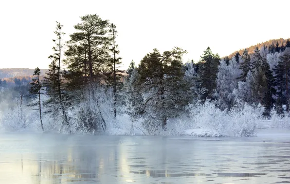 Зима, пейзаж, озеро