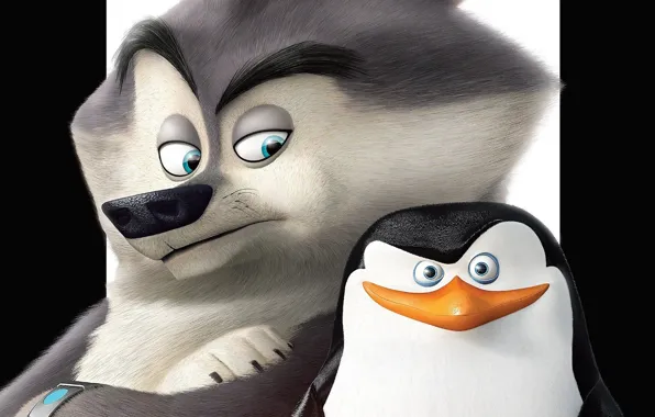 White, black, bird, feathers, cartoon, animal, paws, fur