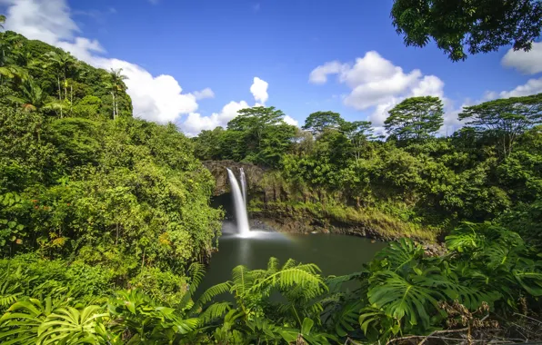 Лес, тропики, водопад, Гавайи, Hawaii, Hilo, Rainbow Falls
