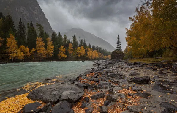 Картинка лес, горы, река