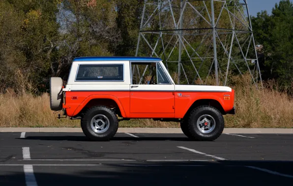 Ford, 1971, в профиль, Wagon, Bronco, Baja Edition, Stroppe