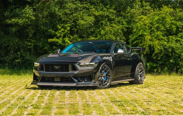 Ford Mustang, спортивное купе, Clive Sutton, 2025, Ford Mustang CS800 DH