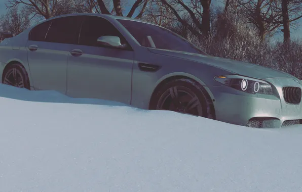 HDR, BMW, Wood, Winter, Tree, Game, F10, 5er