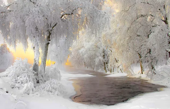 Зима, иней, снег, Финляндия, Кухмо