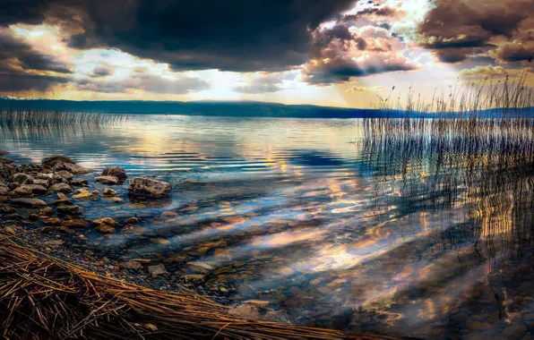 Картинка небо, облака, тучи, озеро, камыши, камни, берег, Macedonia