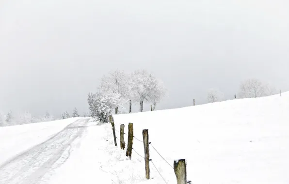 Зима, дорога, снег, пейзаж, забор
