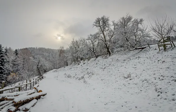 Картинка Зима, Снег, Мороз, Winter, Frost, Snow, Дрова, Firewoods