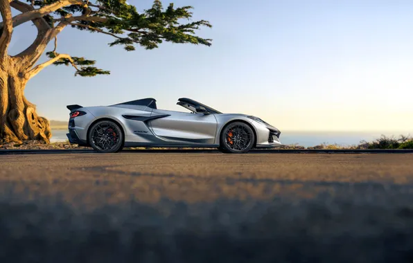 Chevrolet, Кабриолет, Chevrolet Corvette, Convertible, 2025, 2026, ZR1X, Quail Silver Limited Edition